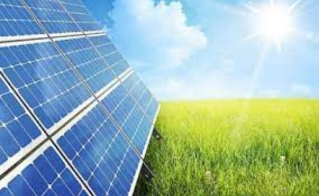 franquicia eco logic 2
