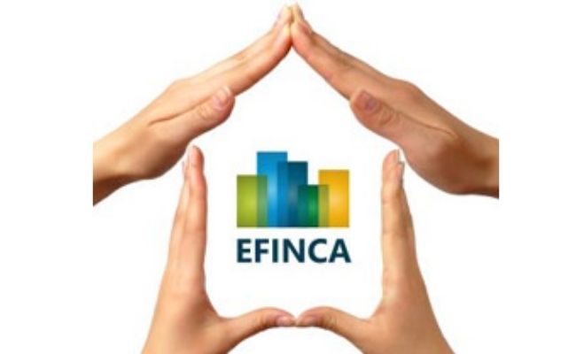 franquicia efinca 1