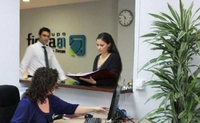 franquicia finca 81 2