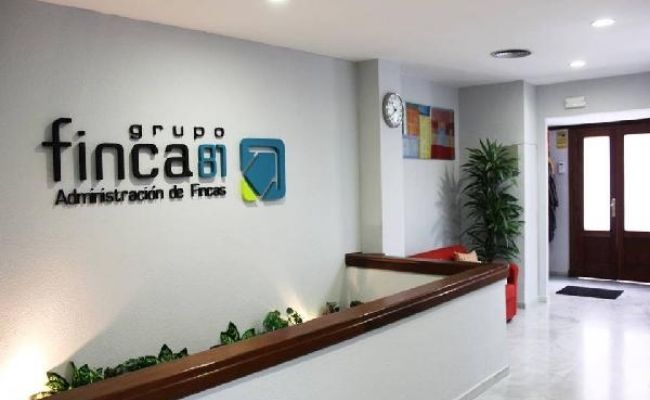 franquicia finca 81 3