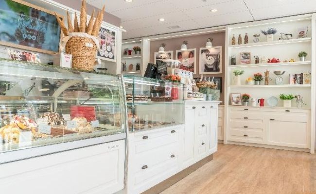 franquicia gelati dino 1