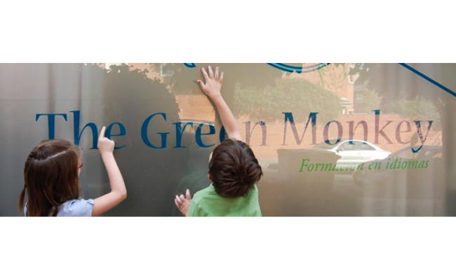 franquicia the green monkey 4