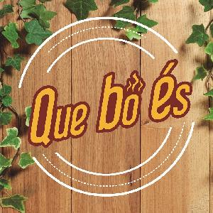 que bo és logo