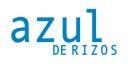 azul de rizos logo