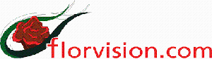 florvisión logo