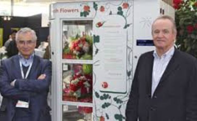 franquicia florvisión 2